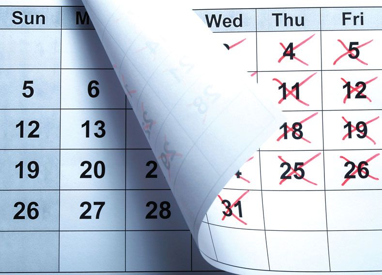 calendar